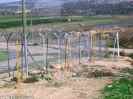 Kibbutz Metser's Security Fence