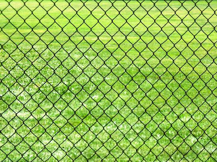 Fence and Grass