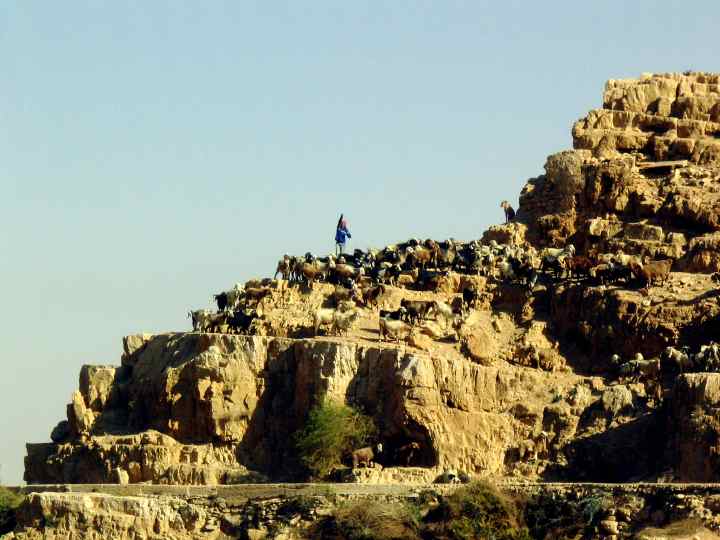 Wadi Kelt - 24