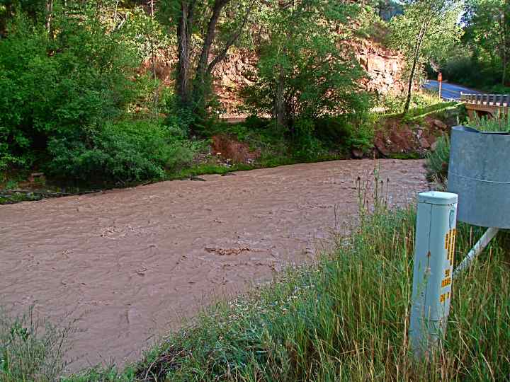 Muddy San Miguel - 01