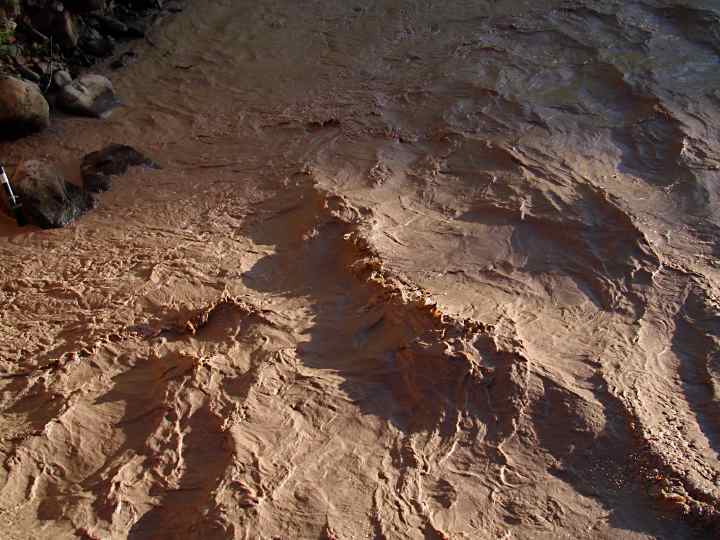 Muddy San Miguel - 56