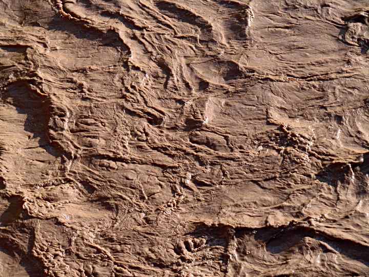 Muddy San Miguel - 14