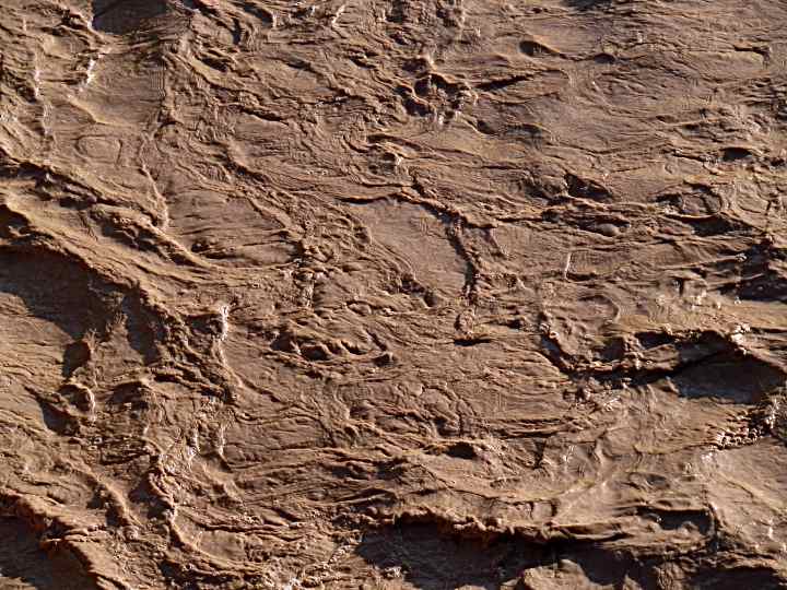 Muddy San Miguel - 15