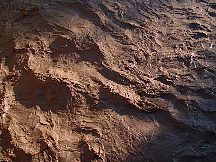 Muddy San Miguel - 47