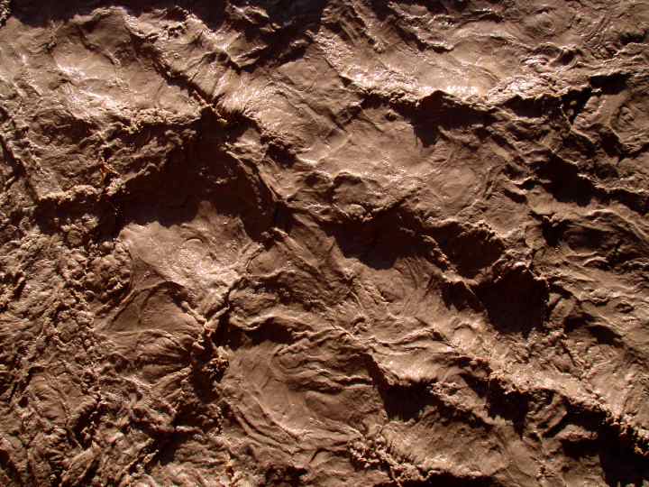 Muddy San Miguel - 30