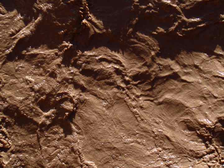 Muddy San Miguel - 35