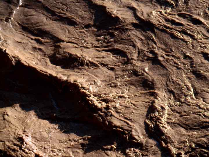 Muddy San Miguel - 50